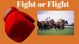 Fight or Flight